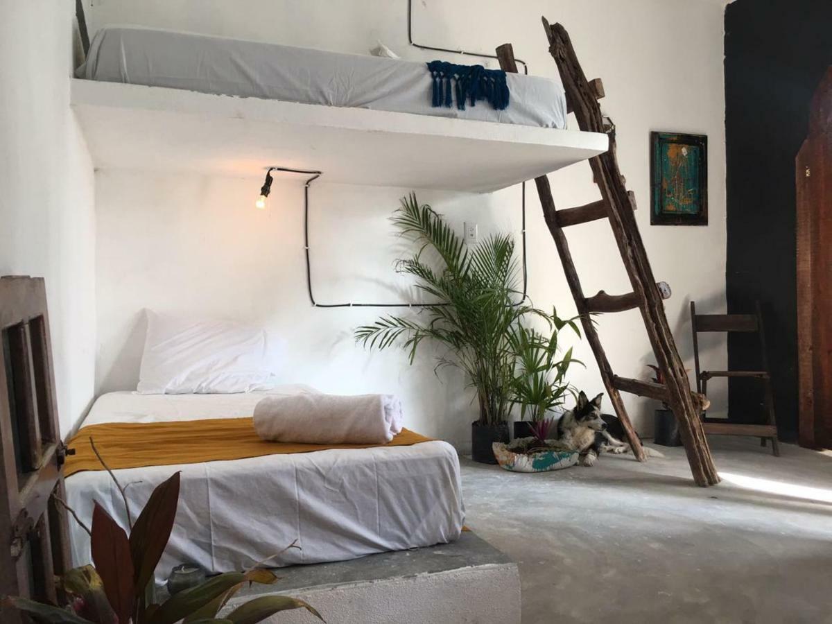 בקאלאר Black Jaguar Hostel מראה חיצוני תמונה